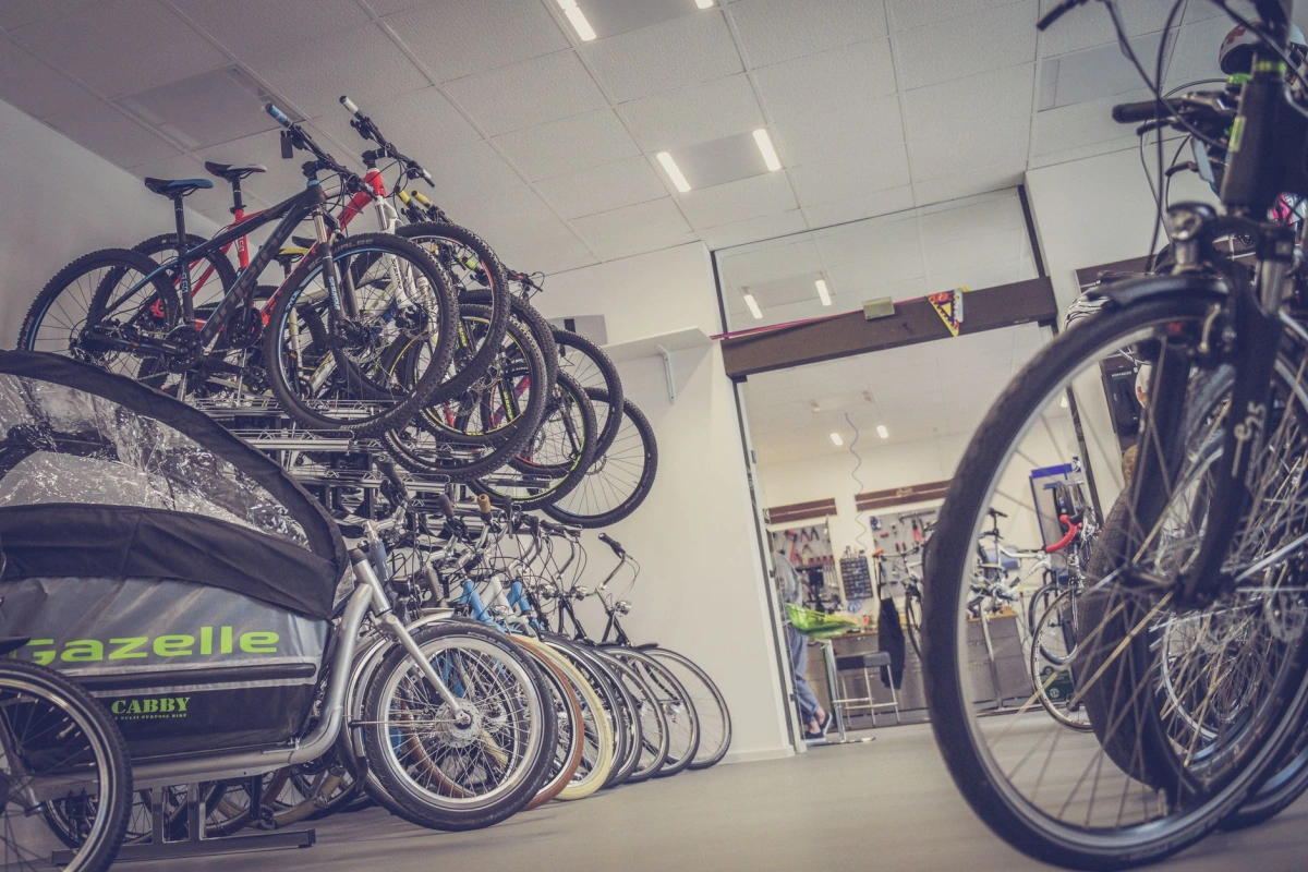 About Bikester